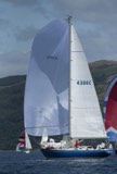 reindeer 4300c whyw24 sun 750 7541